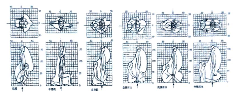 湖南室內(nèi)空間設(shè)計中人體與動作空間概述最新4